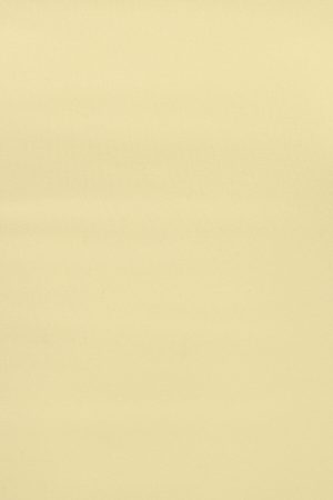 Sleek Longline Tube Top